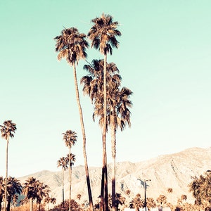 Palm Springs Canvas Print, Desert Photography, Palm Trees, Aqua Wall Decor, Desert Canvas Art, Palm Springs Art Print - "Big Desert Sky" image 4