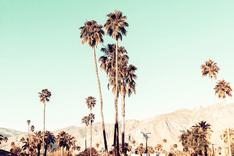 Palm Springs Canvas Print, Desert Photography, Palm Trees, Aqua Wall Decor, Desert Canvas Art, Palm Springs Art Print - "Big Desert Sky" image 4