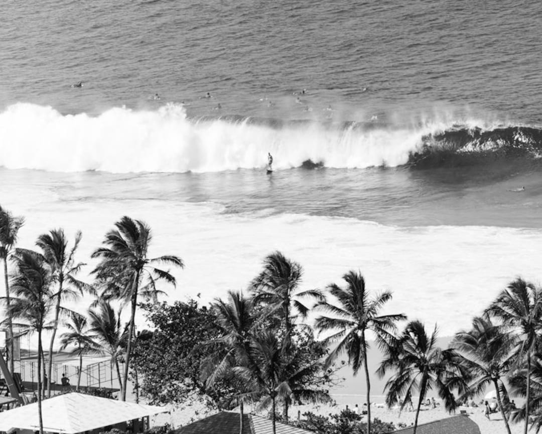 Black and White Surf Photo, Black and White Hawaiian Print, Palm Trees ...