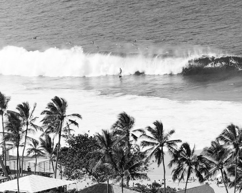 Black and White Surf Photo, Black and White Hawaiian Print, Palm Trees, Surfer, Vintage Surfing Poster, Hawaii Waves, Vintage Print image 1
