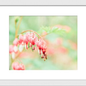 Nature Photography, Gender Neutral Nursery Wall Decor, Pink Hearts, Flower Photography, Flower Print, Hearts, Love, Valentines Day Gift image 2