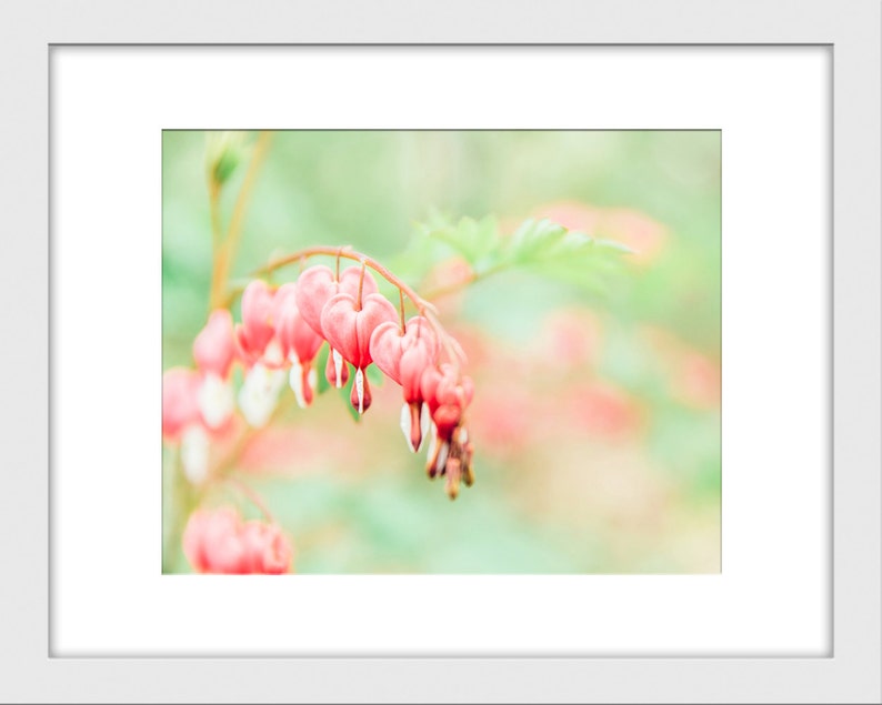 Nature Photography, Gender Neutral Nursery Wall Decor, Pink Hearts, Flower Photography, Flower Print, Hearts, Love, Valentines Day Gift image 2