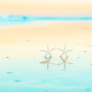 May include: Two white starfish are placed in the shallow water of a beach. The water is a light blue color and the sand is a light yellow color. The background is a soft, pastel yellow.