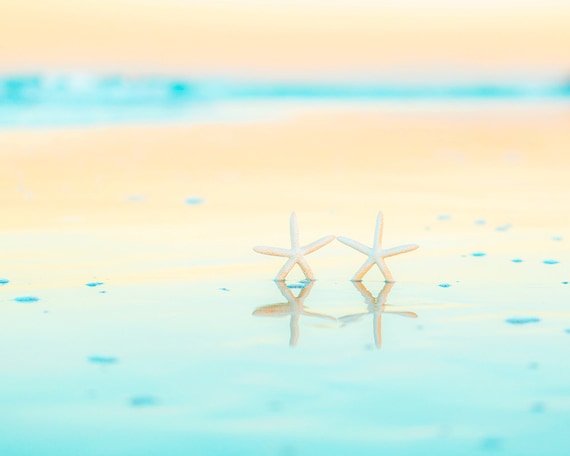 Aqua Beach Decor, Beach House Wall Art, Seashell Photography, Shore, Coastal Print, Yellow, Gold, Teal Wall Art, Starfish, Beach Bathroom