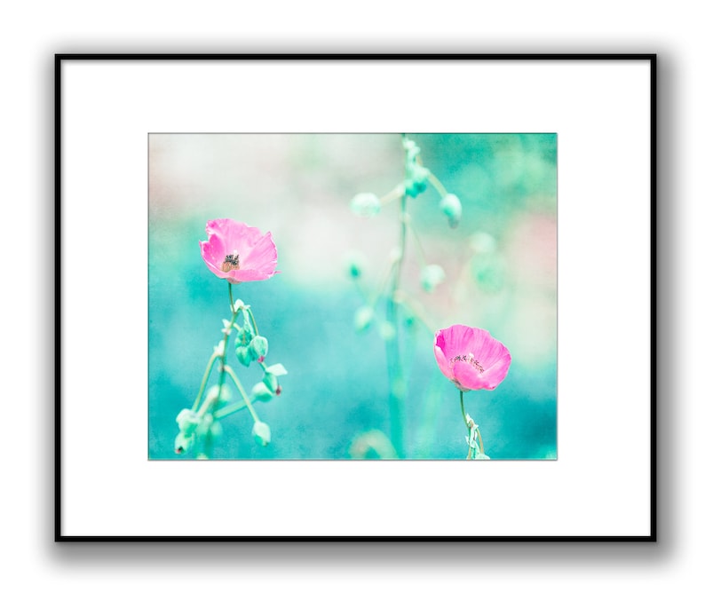 May include: Two pink poppy flowers with green stems and buds against a soft blue and green background.