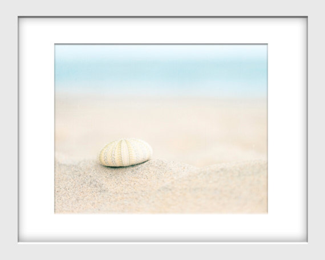 Beach Decor Beach Photography 8x10 Seashell Coastal Home | Etsy