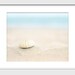 Beach Decor, Beach Photography, 8x10, Seashell, Coastal Home Decor ...