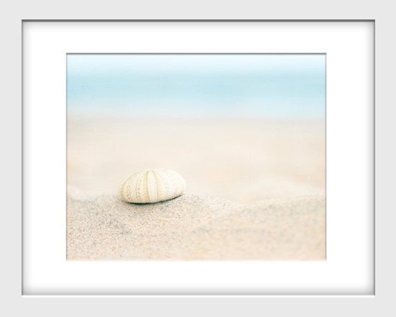 May include: A white sea urchin shell on a sandy beach with a blurred blue ocean background.