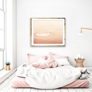 May include: A framed photograph of a seashell on a sandy beach. The shell is white and the sand is a light pink color. The photo is in a simple gold frame.