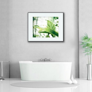 Bright Art, Green Leaves, Tropical Print, Banana Leaves, Large Botanical Photograph, White Wall Art, Clean Bathroom Decor, Nature Photo image 2