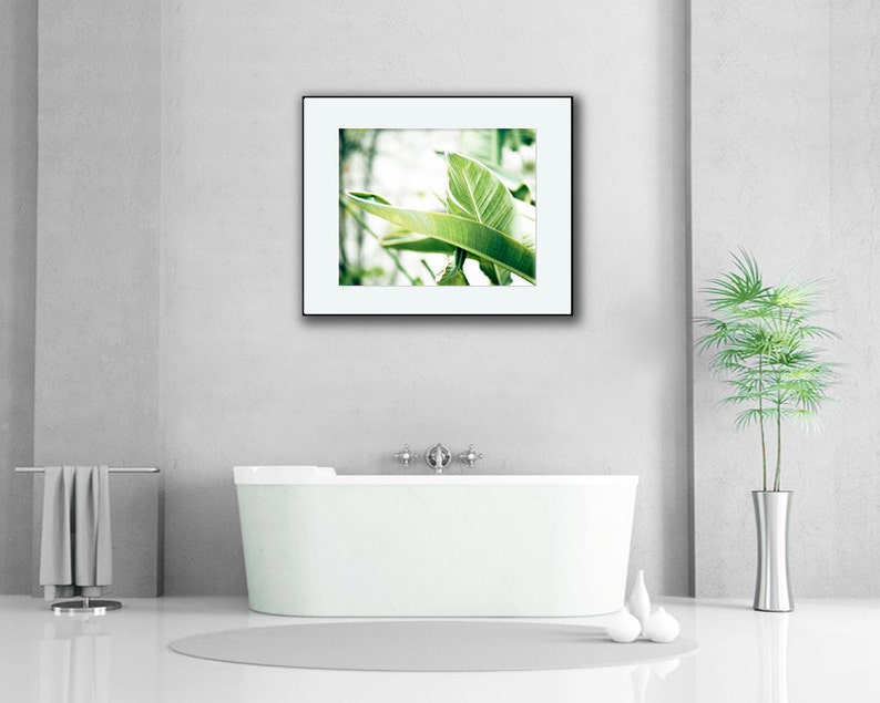 Bright Art, Green Leaves, Tropical Print, Banana Leaves, Large Botanical Photograph, White Wall Art, Clean Bathroom Decor, Nature Photo image 2