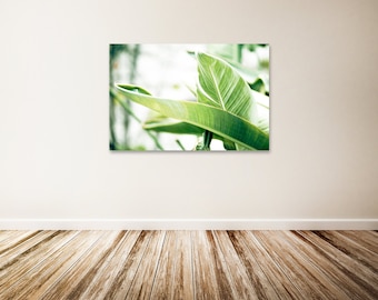 Botanical Canvas Art, Banana Leaves, Nature Photography, Green Wall Decor, Large Canvas Wall Art - "Banana Leaves"