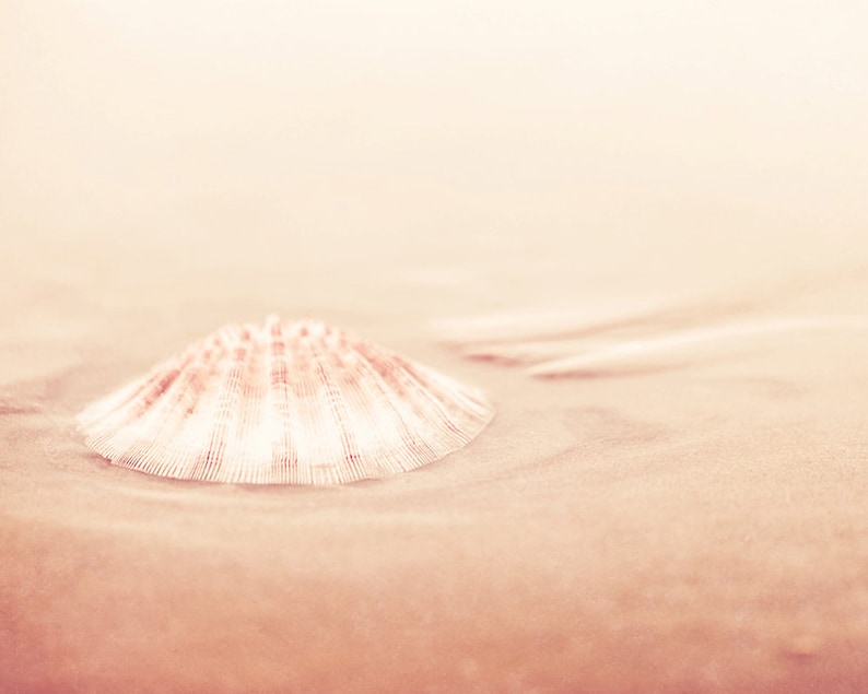 May include: A single, white seashell with a delicate, ribbed texture sits on a soft, sandy beach. The shell is partially buried in the sand, with the top half exposed. The background is a soft, blurred, light pink.