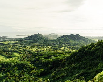 May include: A panoramic view of a lush green landscape with rolling hills and a distant ocean. The scene is dominated by a large, verdant mountain range, with a clear blue sky above.