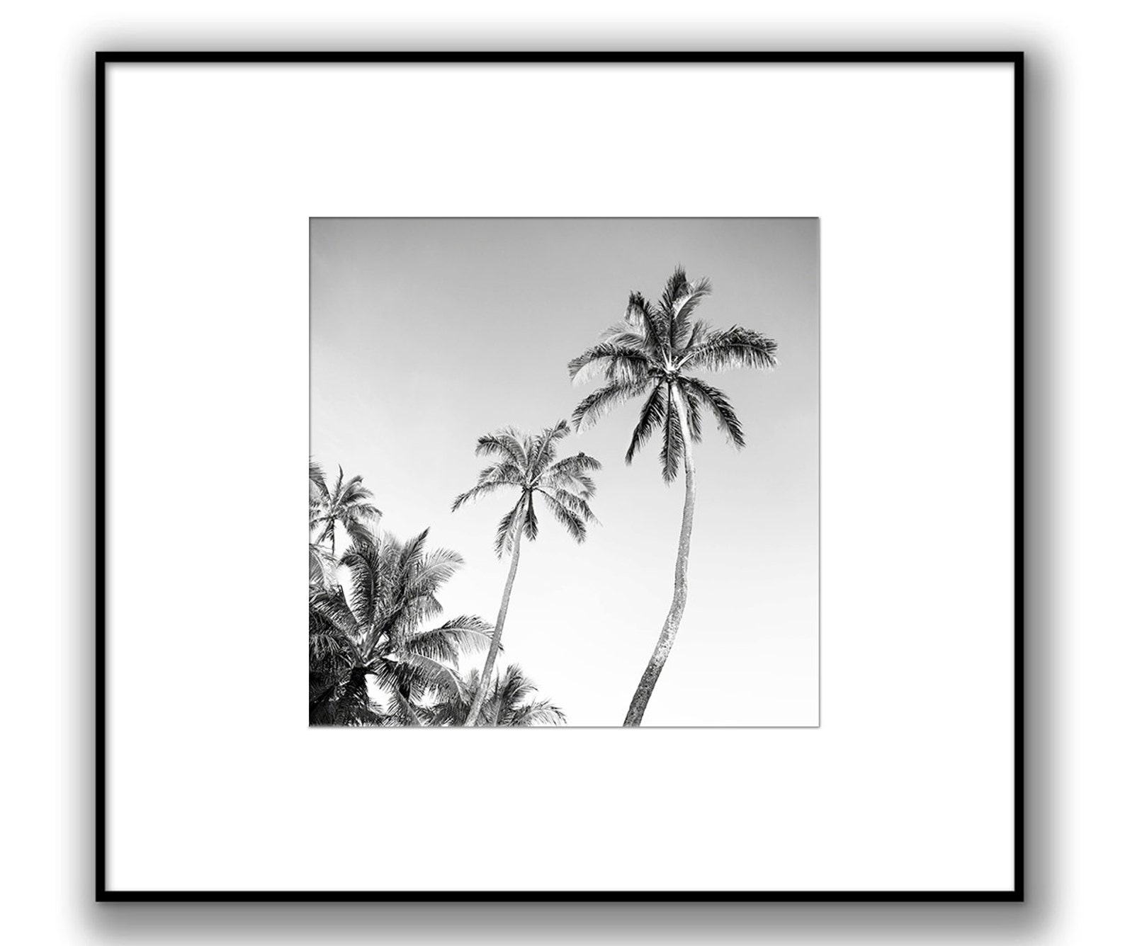 Black and White Square Print Large Square Wall Art Palm Etsy