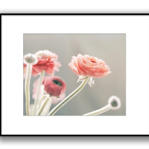 May include: A bouquet of pink and white ranunculus flowers with soft, delicate petals. The flowers are arranged in a vase and are in focus, while the background is blurred.