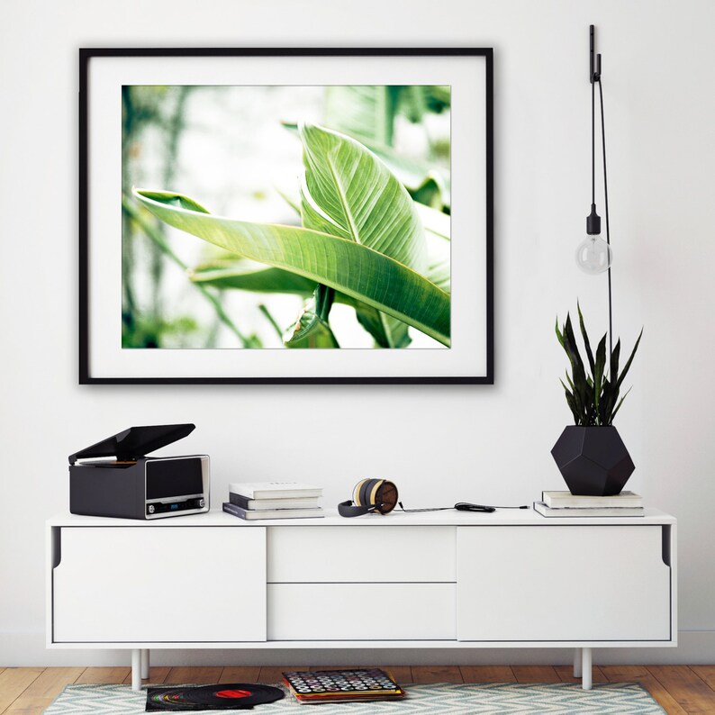 Bright Art, Green Leaves, Tropical Print, Banana Leaves, Large Botanical Photograph, White Wall Art, Clean Bathroom Decor, Nature Photo image 3