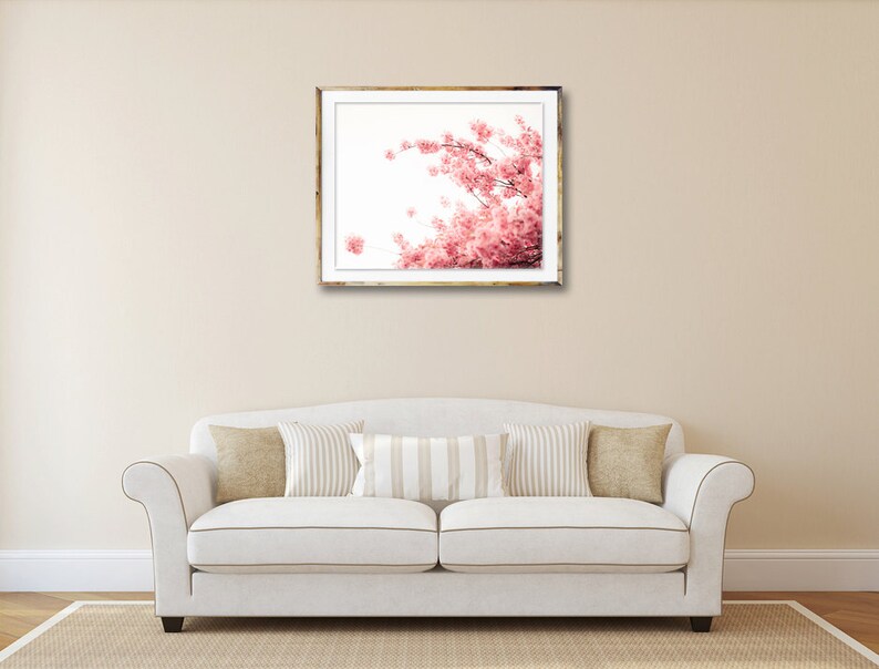 Pode incluir: Uma fotografia emoldurada de uma cerejeira rosa em plena flora&ccedil;&atilde;o contra um fundo branco.