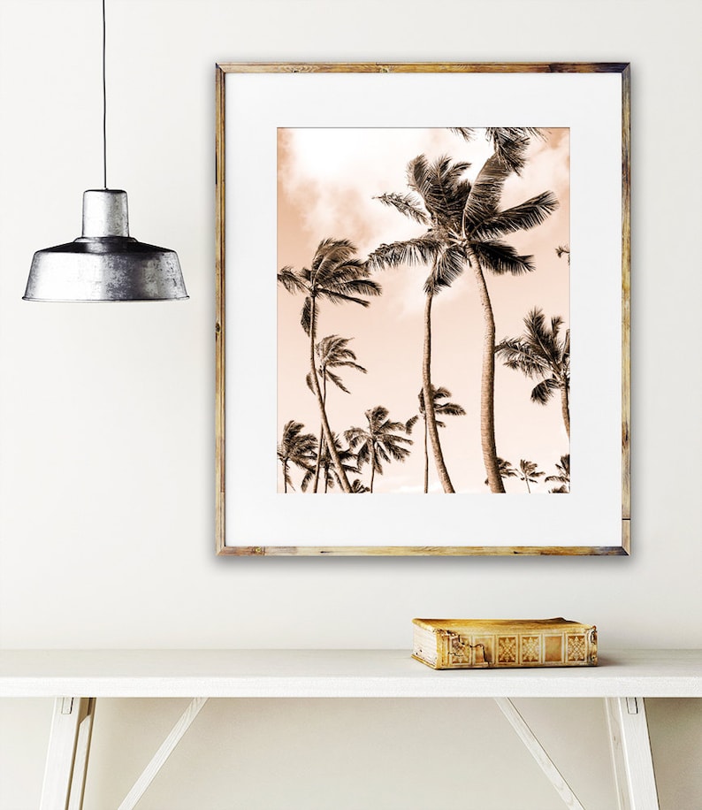 May include: A framed print of a sepia toned photograph of palm trees against a light pink sky.