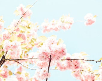 Flower Photography, Spring Flower Blooms, Pink Flowers, Baby Blue, Bedroom Wall Art, Nursery Wall Decor, Flower Wall Decor, Large Floral Art