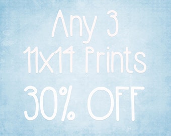 11x14 Prints - Choose any 3 ColorPopPhotoShop Fine Art Photographs