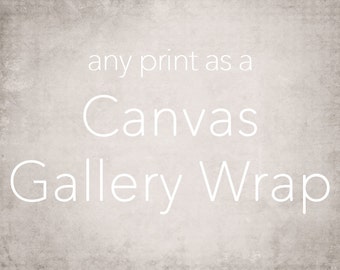 Large Canvas Art, Gallery Wrap Wall Art, Extra Large Wall Art, Fine Art Photography Canvas - 16x20, 16x24, 20x24, 20x30, 24x30, 24x36, 30x40