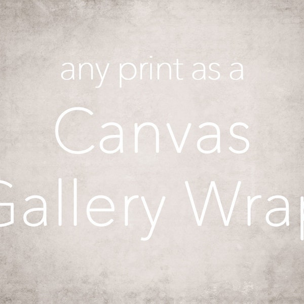 Large Canvas Art, Gallery Wrap Wall Art, Extra Large Wall Art, Fine Art Photography Canvas - 16x20, 16x24, 20x24, 20x30, 24x30, 24x36, 30x40