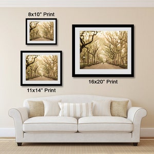 May include: Three framed prints of a sepia-toned photograph of a tree-lined path in a park. The prints are in black frames and are labeled with their dimensions: 8x10", 11x14", and 16x20".
