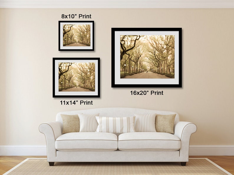 May include: Three framed prints of a sepia-toned photograph of a tree-lined path in a park. The prints are in black frames and are labeled with their dimensions: 8x10", 11x14", and 16x20".