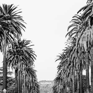 Hollywood Sign Photograph, Black and White Los Angeles Print, Black and White Photography, LA Print, Urban Decor, Palm Tree Print