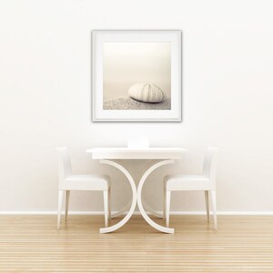 May include: A white framed picture of a white sea urchin on a sandy beach. The picture is hanging on a white wall above a white table with two white chairs.