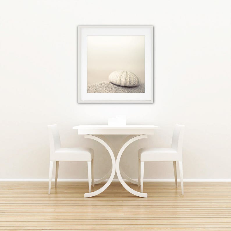 May include: A white framed picture of a white sea urchin on a sandy beach. The picture is hanging on a white wall above a white table with two white chairs.