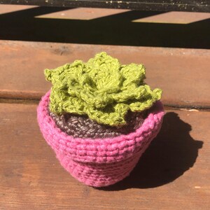 May include: A handmade crochet succulent in a pink pot. The succulent is green, and the pot is a vibrant pink with a brown layer. The crochet work is visible, showcasing the texture and detail of the craft. The item is placed on a wooden surface.