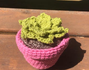 Crochet succulent, fake plants, rosette, hen and chicks, handmade, home decor, desk, dorm, bedroom, bookshelf, potted plant, scrap yarn