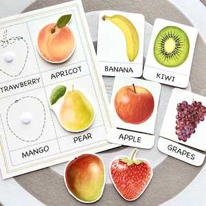 Fruits Toddler Busy Book Cards , Montessori flashcards, Educational Printable Cards, Homeschool Preschool Toddler Busy Book Printable cards