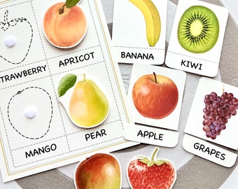 Fruits Toddler Busy Book Cards , Montessori flashcards, Educational Printable Cards, Homeschool Preschool Toddler Busy Book Printable cards