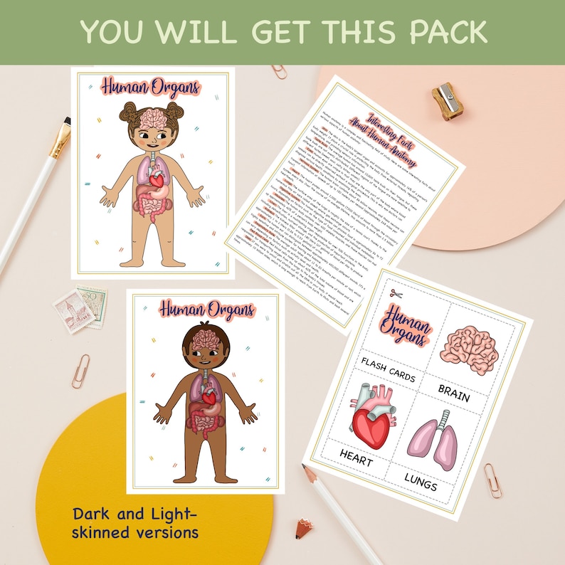 Human Anatomy Busy Book, Montessori flashcards, Educational Printable Cards, Homeschool Preschool Toddler Busy Book Printable cards image 2
