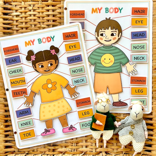 Body and Face Parts Printable Learning Pack for Toddler, Preschool, Pre-K, Kindergarten. Human Body Activity Worksheets, Human Anatomy