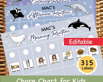 Editable Kids Routine Chart: Morning, Afternoon, Evening Visual Schedule, Chore Chart (Digital Download)