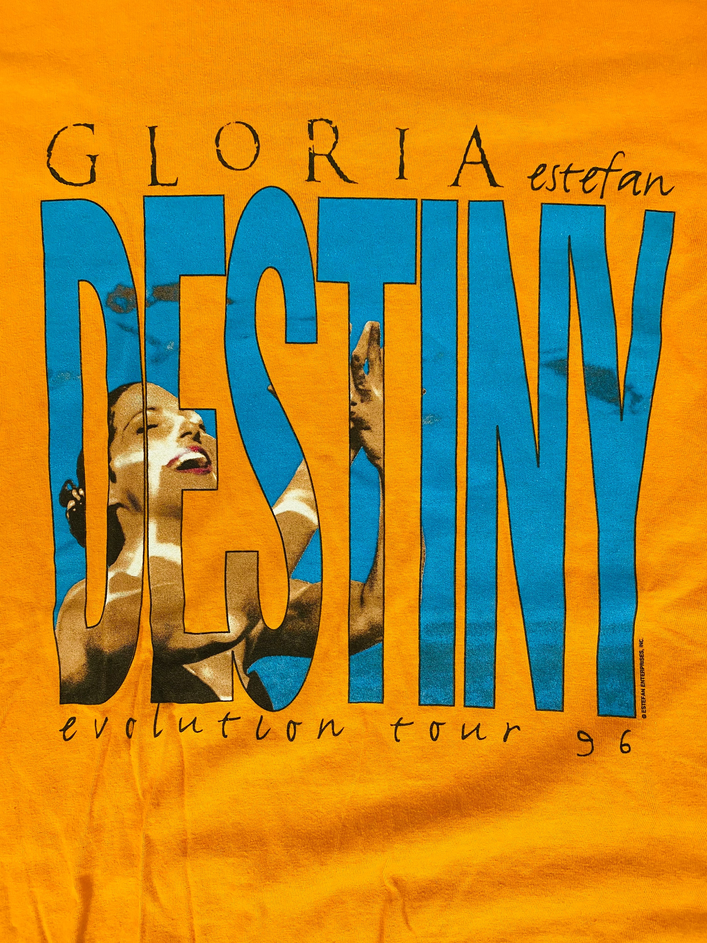 ミュージシャン GLORIA ESTEFAN 1996 Evolution/Destiny XL Vintage Gloria Estefan Destiny Evolution Tour 1996 T-shirt, Size