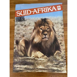 Póster vintage de viaje de Sudáfrica de los años 70 con un león de Sudáfrica, 27,5 x 38,5, póster de león, Oficina de Turismo de Sudáfrica, póster de viaje de los años 70