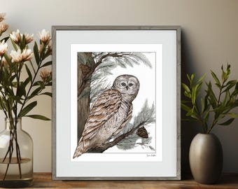 Owl Print in 11x14 mat