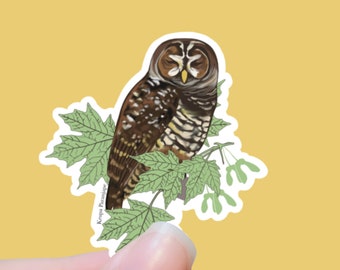 OWL Bird vinyl die cut sticker, Spotted Owl 2.73" x 3"