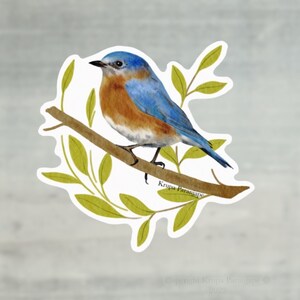 Eastern Blue bird sticker, 3 x 2.9 inches sticker image 2