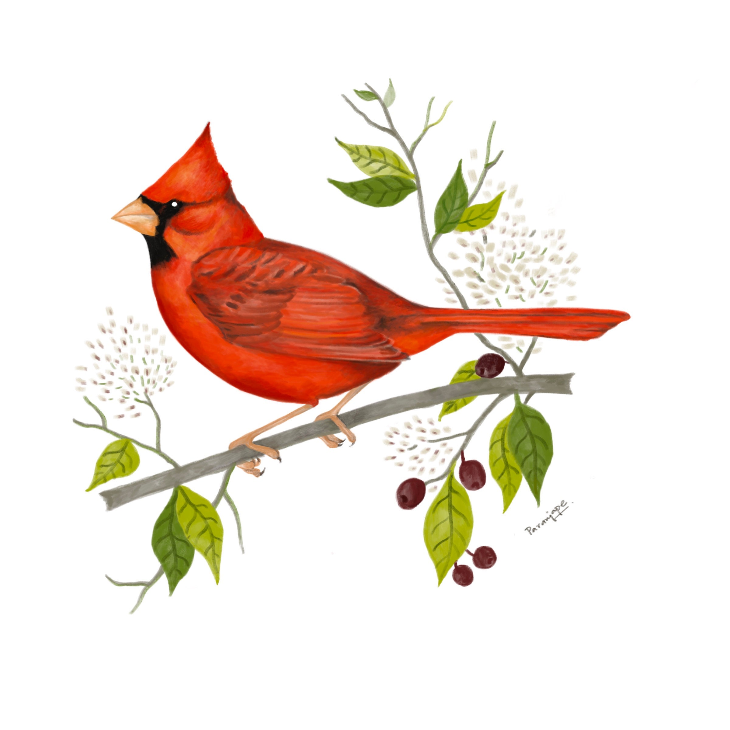 Cardinal watercolor Digital download Printable Wall Decor | Etsy