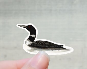 Common Loon Vinyl Sticker  |  Waterproof  | Laptop, Journal, Hydroflask  Minnesota State Bird Illustration