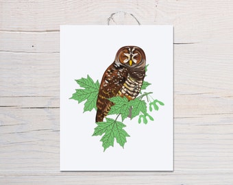 OWL Bird Greeting Cards, Blank Cards with kraft envelopes,  4.25 x 5.5" greeting cards, Thank you cards, Birthday cards, Fathers day card