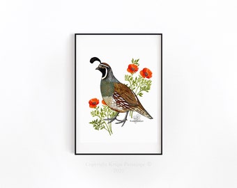 CALIFORNIA QUAIL ART Print, California Poppy Art, Red Poppy Print, California State Bird Art Print, Quail Print, Bird lovers gifts