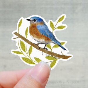 Eaatern blue bird sticker, State bird of NY, Blue bird stickers for bottles car decals