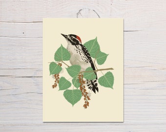 Woodpecker bird any occasion greeting card, 4.25 x 5.5" card with Kraft envelop, Blank card, Happy Birthday, Sympathy card, Thank you card